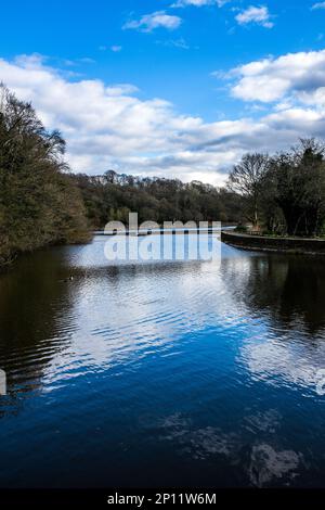 Yarrow Valley Country Park est un site de 700 hectares près de Chorley, Lancashire. Banque D'Images