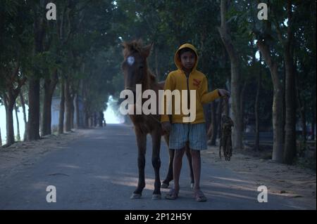 Photo d'un enfant avec un cheval du même âge dans une rue au Bangladesh. Banque D'Images