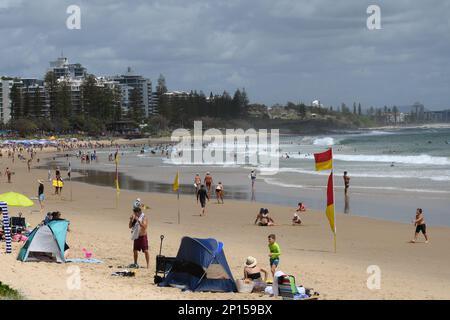 La plage de Mooloolaba. Les nageurs et les amateurs de soleil apprécient le sable et les vagues du rivage. Banque D'Images