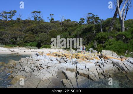 Littoral immaculé et plages près de Skeleton Bay, Binalong Tasmanie Banque D'Images
