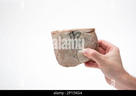 Vieux pain de moisi gâté, tenu en main par la main mâle caucasienne. Gros plan en studio, isolé sur fond blanc. Banque D'Images