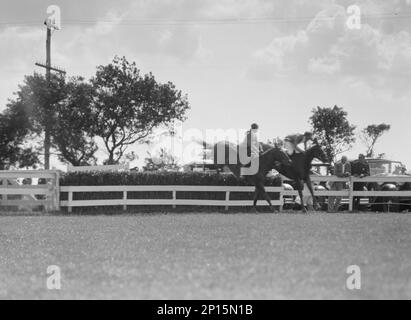 Spectacle équestre East Hampton, 1932. Banque D'Images