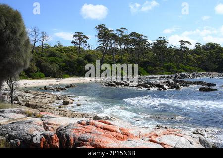 Littoral immaculé et plages près de Skeleton Bay, Binalong, Tasmanie Banque D'Images