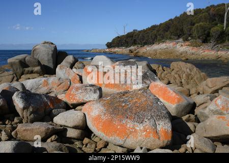 Rochers orange et littoral et plages immaculés à Skeleton Bay, Binalong, Tasmanie Banque D'Images