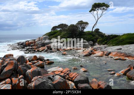 Littoral immaculé, plages et baies, Binalong Tasmanie Banque D'Images