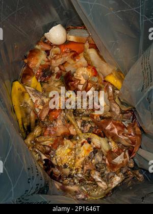 Pile de déchets alimentaires gâtés dans un grand sac en plastique ramassé pour le recyclage du compost vue de dessus. Banque D'Images