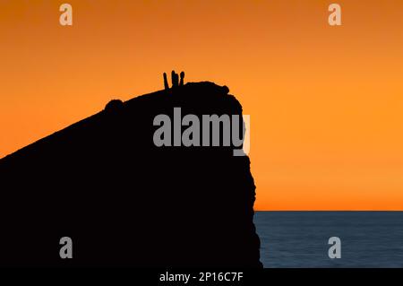 EL HIMALAYA BEACH, SONORA / MEXIQUE - 16 OCTOBRE 2022. Silhouette d'un cactus au sommet d'une falaise au coucher du soleil. Banque D'Images