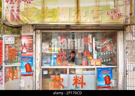 Suzhou, province de Jiangsu, Chine, Une femme à l'intérieur d'un kiosque de restauration de rue avec et assortiment de marchandises. Banque D'Images