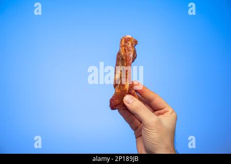 Côte de porc en tranches assaisonnée et crue tenue par un mâle caucasien tiré en studio isolé sur fond bleu. Banque D'Images