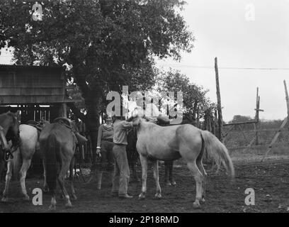 Vues sur le sud-ouest américain, entre 1899 et 1928. Banque D'Images