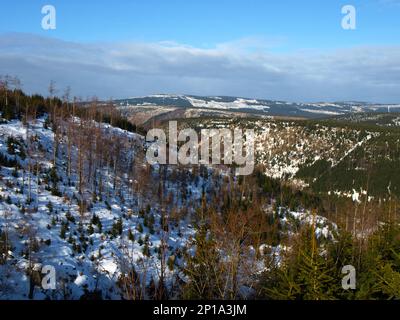 Jizera montagnes et la forêt dévastée causée par les pluies acides Banque D'Images