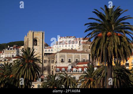 Portugal Lisbonne vue sur le quartier historique récemment rénové d'Alfama et la cathédrale et les palmiers en premier plan Banque D'Images