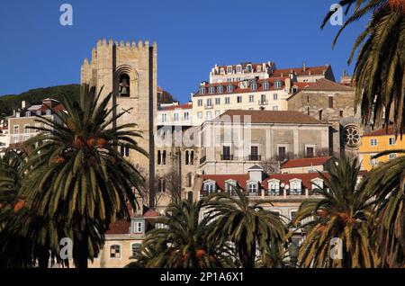 Portugal Lisbonne vue sur le quartier historique récemment rénové d'Alfama et la cathédrale et les palmiers en premier plan Banque D'Images