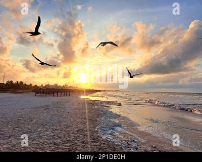 Coucher de soleil ou lever de soleil sur la plage de Sisal au Yucatan au Mexique avec des mouettes volant au-dessus de la mer en contre-jour avec le soleil à l'horizon représentant la tranquillité Banque D'Images