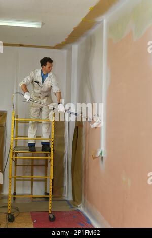 Un peintre applique une couche d'apprêt acrylique sur les murs intérieurs d'un bâtiment de rénovation près de Greymouth, Île du Sud, Nouvelle-Zélande Banque D'Images