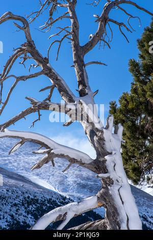 Vallée de Nuria, El Ripolles, Gérone, Catalogne, Espagne, Pyrénées. Banque D'Images