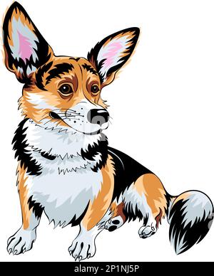 Croquis en couleur du chien Pembroke gallois corgi race assis et souriant Illustration de Vecteur