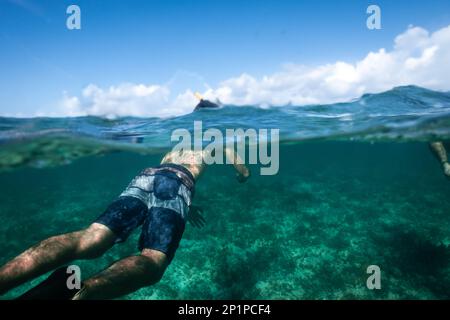 Demi-photo sous-marine, ou photo sur deux niveaux, d'un homme snorkeling dans l'océan turquoise dans les îles Turks et Caicos, dans les Caraïbes, sur un récif de corail. Banque D'Images