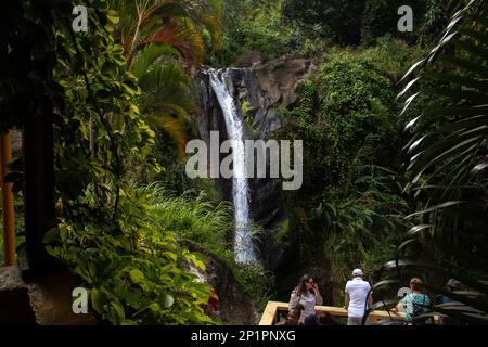 Chutes de Concord, Grenade - 3 mars 2023 : les touristes nagent dans l'eau courante des chutes de Concord, une chute d'eau locale sur l'île du sud des Caraïbes. Banque D'Images