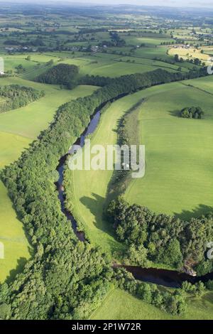 Vue aérienne de la rivière bordée de bois indigènes qui coule à travers la campagne, rivière Eden, près d'Appleby, Eden Valley, Cumbria, Angleterre, United Banque D'Images