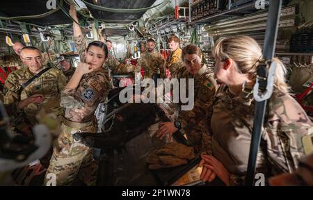 ÉTATS-UNIS Les aviateurs de la Force aérienne du 386th Expeditionary Medical Squadron et du 405th Expeditionary Air Evacuation Squadron apprennent à prendre soin d'un patient K-9 des États-Unis Armée de terre 109th Services de soutien aux vétérinaires du détachement médical à la base aérienne Ali Al Salem, Koweït, 8 février 2023. Aviateurs de l'EMDS 386th, EAES 405th, États-Unis Le MDVSS de l'armée 109th et les partenaires de la coalition d'Italie et du Danemark se sont associés pour apprendre à préparer et à charger des patients sur un C-130J Super Hercules. Banque D'Images