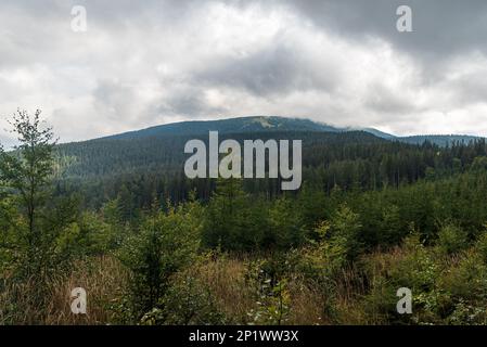 Les montagnes de Beskid Zywiecki dans la forêt wirh des zones frontalières polonais-slovaques, la prairie de Hala Miziowa et le sommet de la colline de Pilsko dans les nuages à la fin de la journée d'été Banque D'Images