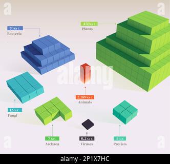 Biomasse de toute la vie sur Terre, illustration Banque D'Images