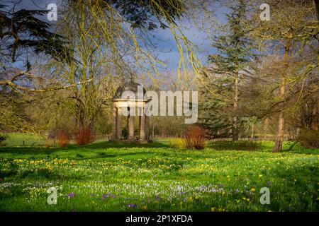 3rd mars 2023 Dodding Hall Gardens, Doddington, près de Lincoln, Lincolnshire, Angleterre, Royaume-Uni le temps, les jardins, colorent la scène colorée aujourd'hui à Doddington Hal Gardens près de Lincoln, qui est actuellement ouvert pour le Spring bulbes Pageant. Le pageant printanier a été lancé en 1950s par Ralph et Antonia Jarvis. Un spectacle spectaculaire de bulbes de printemps, commençant début février avec de magnifiques chutes de neige et aconites d'hiver, Cyclamen coum, et Crocus tommasinianus, se poursuivant jusqu'en mars et début avril avec des drifts de lys de Lent et notre collection unique de jonquilles du patrimoine (y compris Banque D'Images