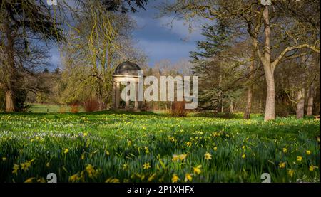 3rd mars 2023 Dodding Hall Gardens, Doddington, près de Lincoln, Lincolnshire, Angleterre, Royaume-Uni le temps, les jardins, colorent la scène colorée aujourd'hui à Doddington Hal Gardens près de Lincoln, qui est actuellement ouvert pour le Spring bulbes Pageant. Le pageant printanier a été lancé en 1950s par Ralph et Antonia Jarvis. Un spectacle spectaculaire de bulbes de printemps, commençant début février avec de magnifiques chutes de neige et aconites d'hiver, Cyclamen coum, et Crocus tommasinianus, se poursuivant jusqu'en mars et début avril avec des drifts de lys de Lent et notre collection unique de jonquilles du patrimoine (y compris Banque D'Images