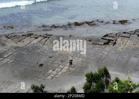 Les visiteurs ont relevé les patrons rectangulaires dans les trottoirs Tessellated à Eaglehawk Neck Bay Tasman Peninsula, Tasmanie, Australie Banque D'Images