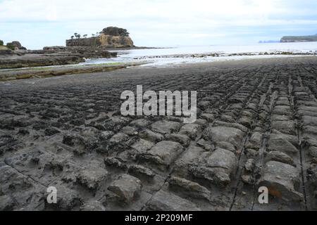 Trottoirs à facettes à Eaglehawk Neck Bay sur la péninsule de Tasman, une remarquable caractéristique géologique avec des formations rocheuses géométriques. Tasmanie. Banque D'Images