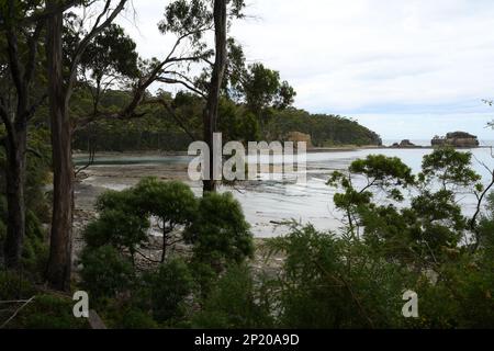 Eagle Hawk Neck Tasmanie Banque D'Images