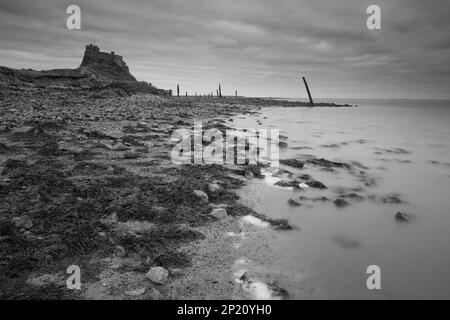 Image en noir et blanc du château de Lidisfarne. Holy Island, Northumberland, Angleterre, Royaume-Uni. Banque D'Images