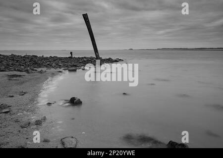 Image en noir et blanc d'une ancienne groyne en bois à Lidisfarne, Île Sainte, Northumberland, Angleterre, Royaume-Uni. Banque D'Images