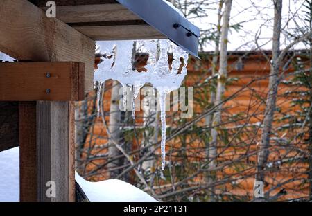 Les chutes de printemps tombent des glaces en fonte de cristal sur le bord du toit en bois de l'arbre Banque D'Images