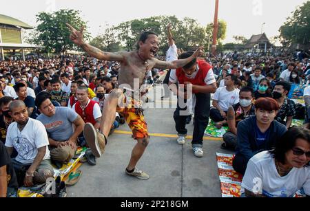 Bangkok, Thaïlande. 04th mars 2023. Les passionnés vus dans un état de transe lors du festival annuel du tatouage magique à Wat Bang Phra dans la province de Nakhon Pathom, à la périphérie de Bangkok. Les croyants de toute la Thaïlande se rendent au monastère pour que leur corps soit orné de tatouages et pour rendre hommage au maître tatoueur du temple. Ils croient que les tatouages ont des pouvoirs mystiques, déjouer la malchance et les protéger du mal. (Photo de Chaiwat Subprasom/SOPA Images/Sipa USA) crédit: SIPA USA/Alay Live News Banque D'Images