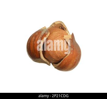 Noisette savoureuse en coquille isolée sur blanc Banque D'Images