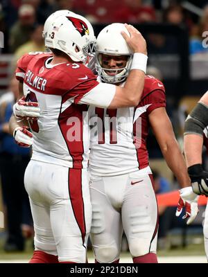 Nov 10, 2019; Tampa, FL USA; Arizona Cardinals wide receiver Larry