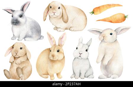Ensemble mignon lapin avec carotte. Modèle Pâques. Illustration d'animaux aquarelle dessinés à la main Banque D'Images