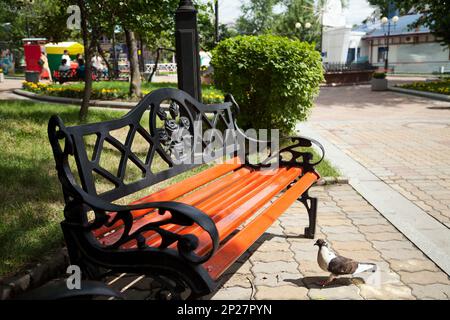 Banc en fer forgé vintage avec personne sauf pigeon dans un parc d'été vert. Décorées de beaux meubles de jardin de style rétro dans la lumière du soleil Banque D'Images