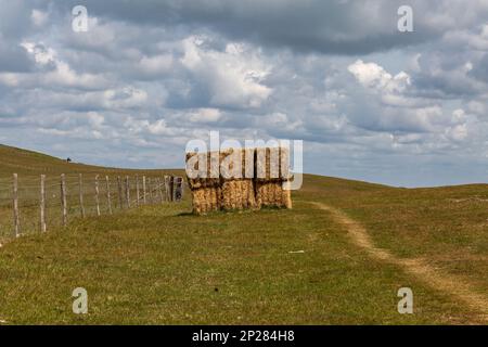 Une botte de foin dans South Downs, près de Firle Beacon Banque D'Images