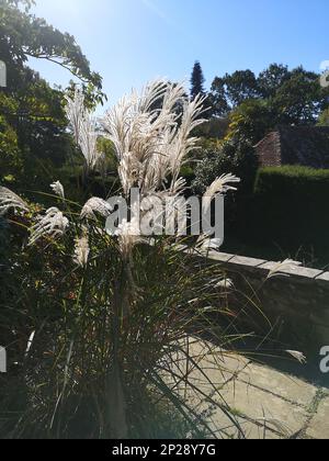 Vue sur une terrasse en pierre donnant sur les jardins. Banque D'Images