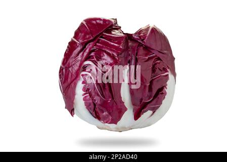 Radicchio di Verona chicorée de radis à feuilles rouges typique, isolée sur le chemin de coupure blanc inclus Banque D'Images