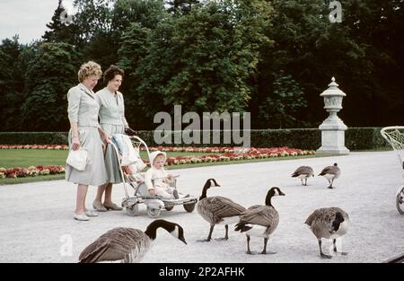 Deux femmes et un petit enfant dans un buggy regardent les oies dans le parc du Palais de Nymphenburg. Munich, Bavière, Allemagne, 1959 Banque D'Images