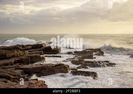 Vagues écrasant sur des rochers sur la côte sud de l'Afrique du Sud Banque D'Images