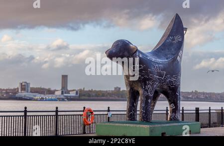 Une des nombreuses répliques du Superlambanana à Pier Head Liverpool à côté du Mersey avec le terminal de ferry de Birkenhead en arrière-plan. Banque D'Images