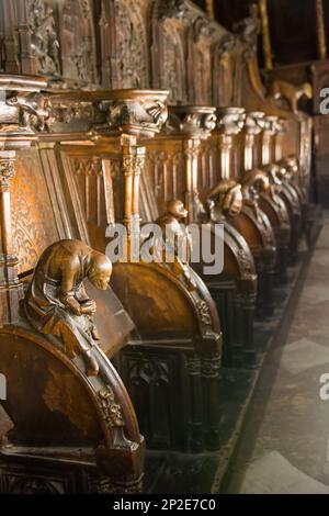 Détail d'un gargouille sculpté dans le bois des sièges de choeur de la cathédrale de Tolède, Espagne. Banque D'Images