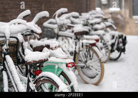 Vélos garés couverts de neige avec profondeur de champ dans une allée de Dordrecht aux pays-Bas. Scène urbaine typique des pays-bas en hiver. Banque D'Images