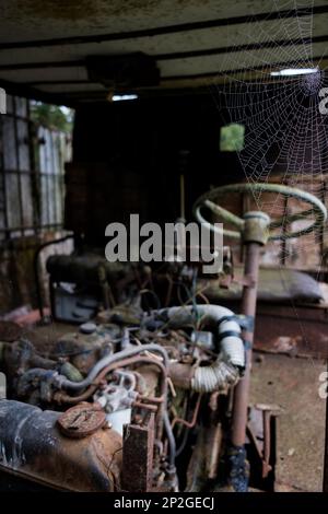 vieille voiture abandonnée, abandonnée et assise avec une toile d'araignée recouvrant le cadre de la fenêtre principale Banque D'Images