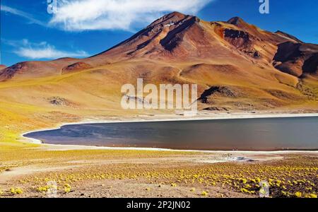 Beau lac d'eau saumâtre dans les andes hautes plaines, montagne rouge orangée sauvage, touffes d'herbe jaune sèche - Laguna miniatures, désert d'Atacama, Chili Banque D'Images